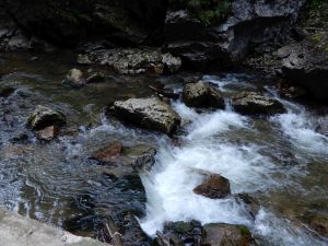 image473
